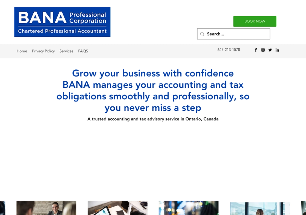 BANA Professional Corporation 官网首页截图