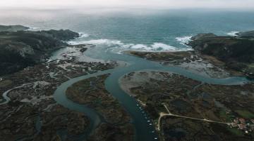 Ría abriéndose al mar entre marismas, con los canales dibujando ramificaciones sobre el limo