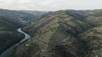Terrazas de cultivo en ladera siguiendo las curvas de nivel, vistas desde muy alto