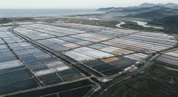 Salinas costeras divididas en balsas rectangulares de distintos tonos de agua, vistas desde arriba