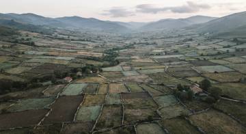 Valle con parcelas de cultivo separadas por muros de piedra, visto desde un dron