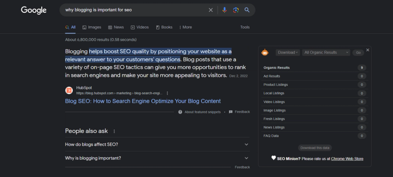 An image of a Google search for SEO.