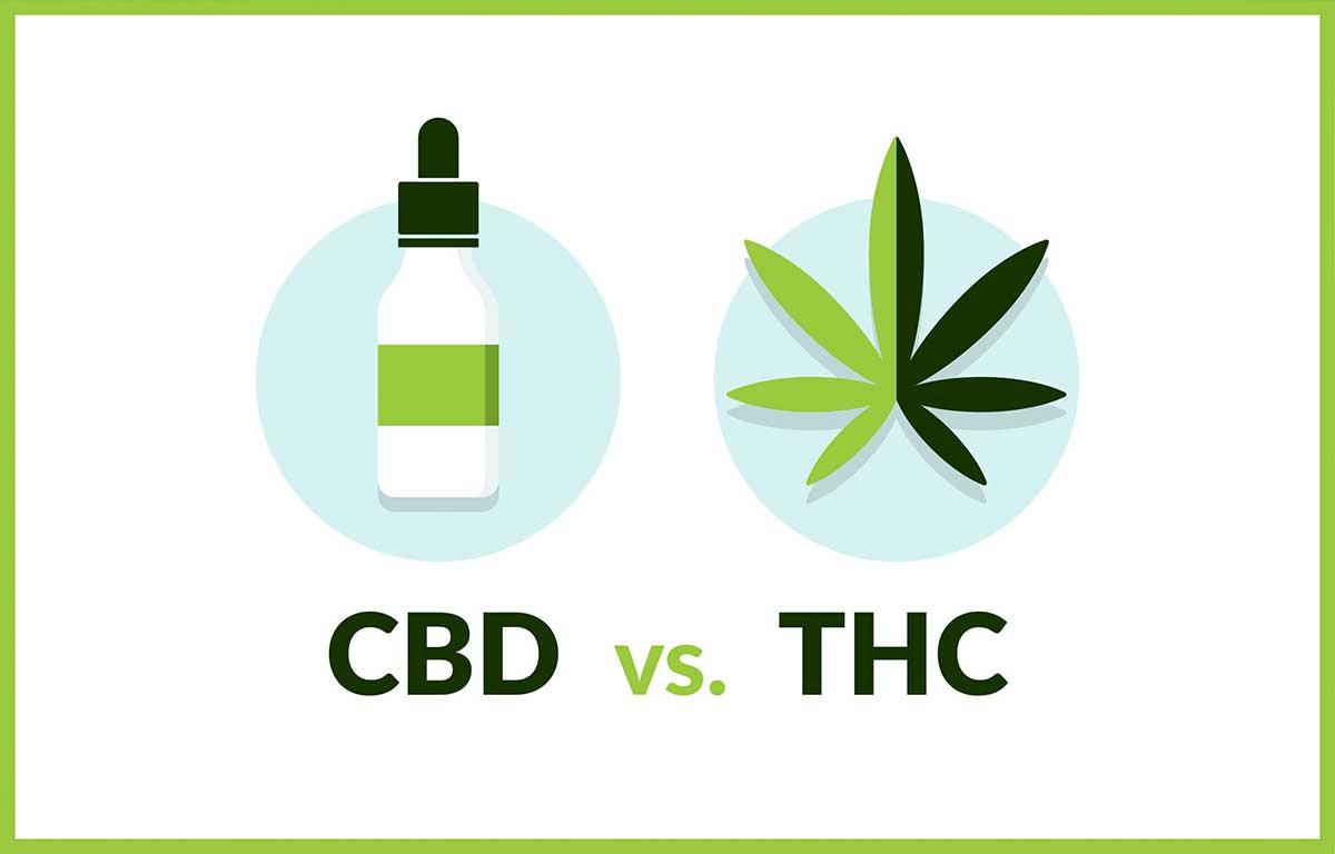 CBD vs. THC: Mi a különbség?