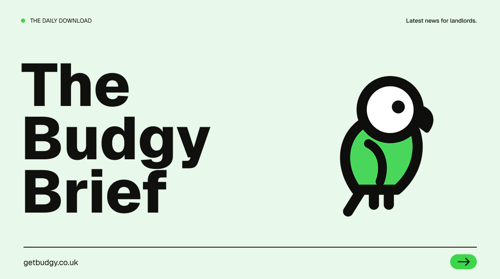 The Budgy Brief daily blog cover featuring bold black lettering and a green bird mascot on a light background, with the tagline “Small bird. Big ideas.”