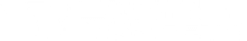 Wayne Safety logo