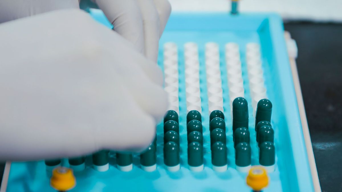 Gloved hands arrange green capsules in rows on a blue pharmaceutical filling tray.