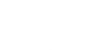 Completely blank white background with no visible objects or text