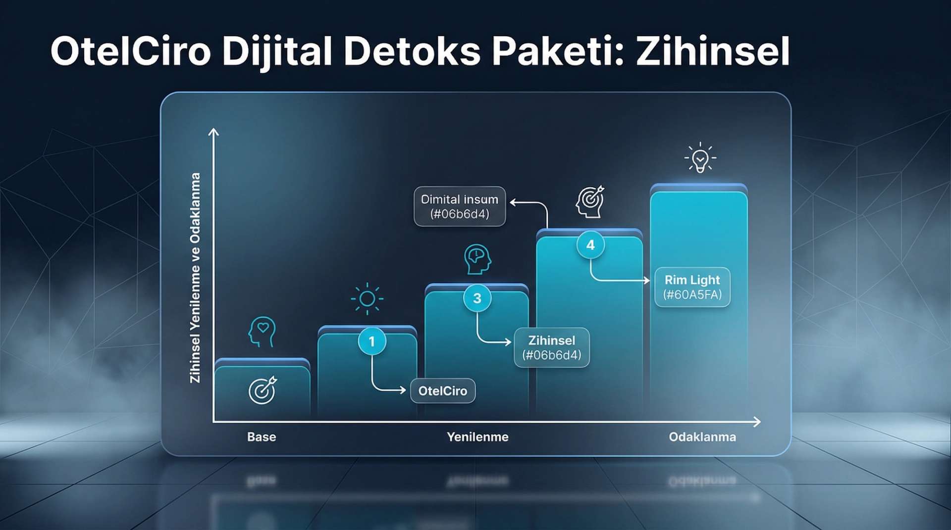 Dijital Detoks Paketi İnfografiği
