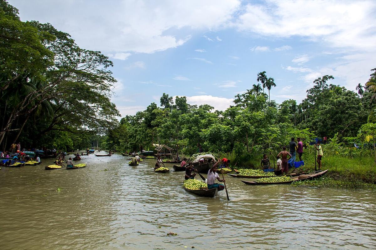 পেয়ারার ভাসমান হাট