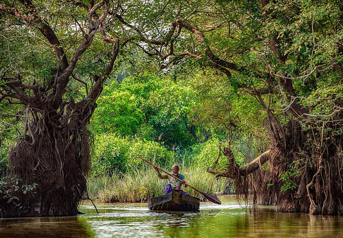 রাতারগুল জলাবন
