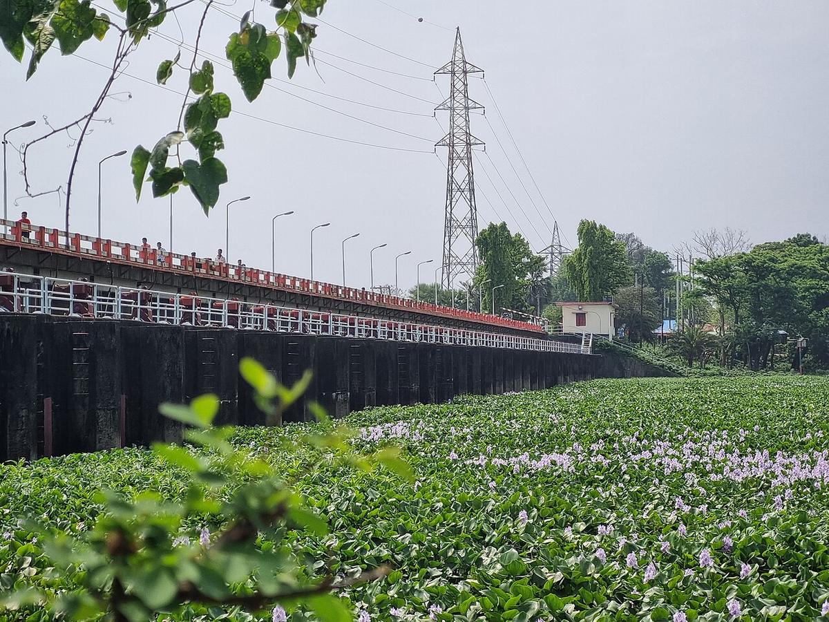মুহুরী প্রকল্প