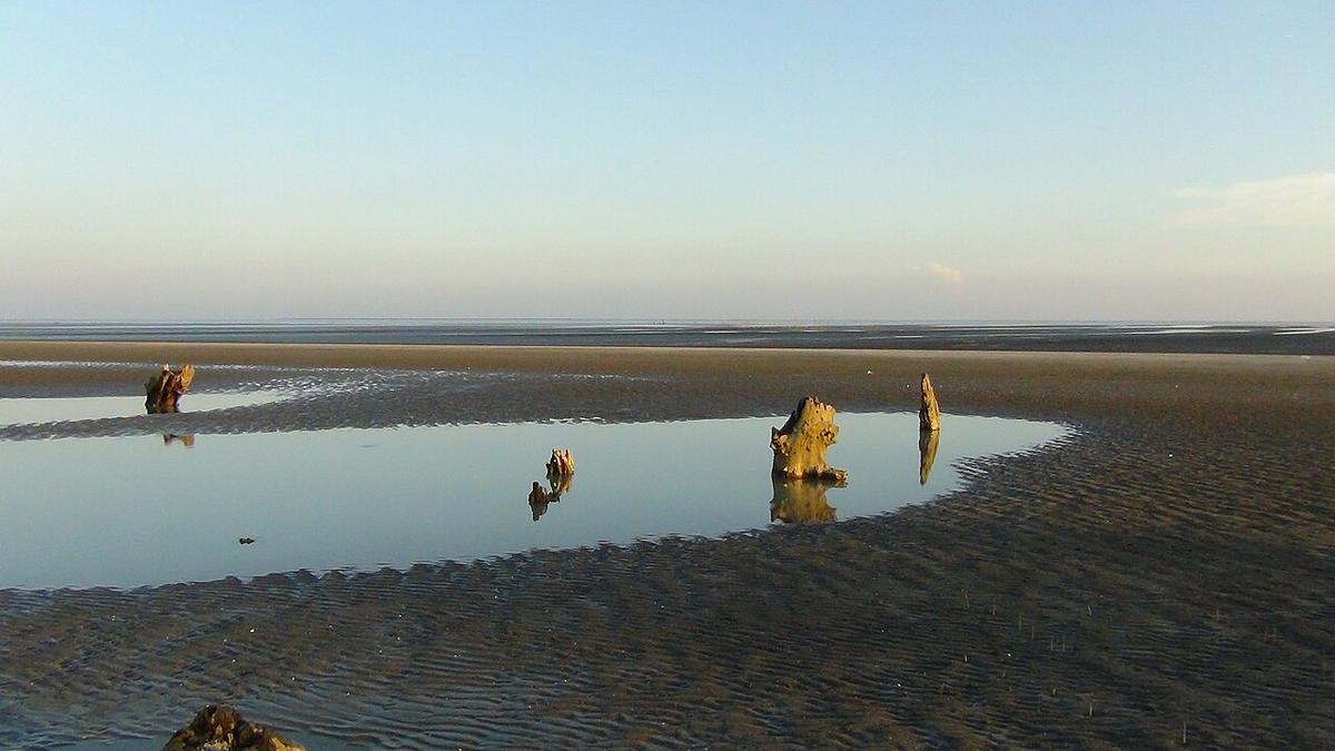 সোনারচর বন্যপ্রাণী অভয়ারণ্য