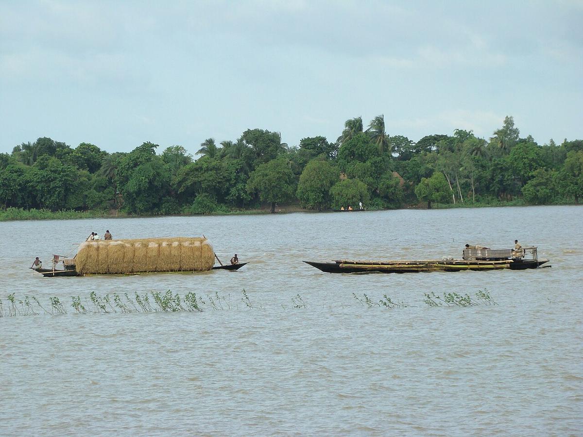 চলনবিল