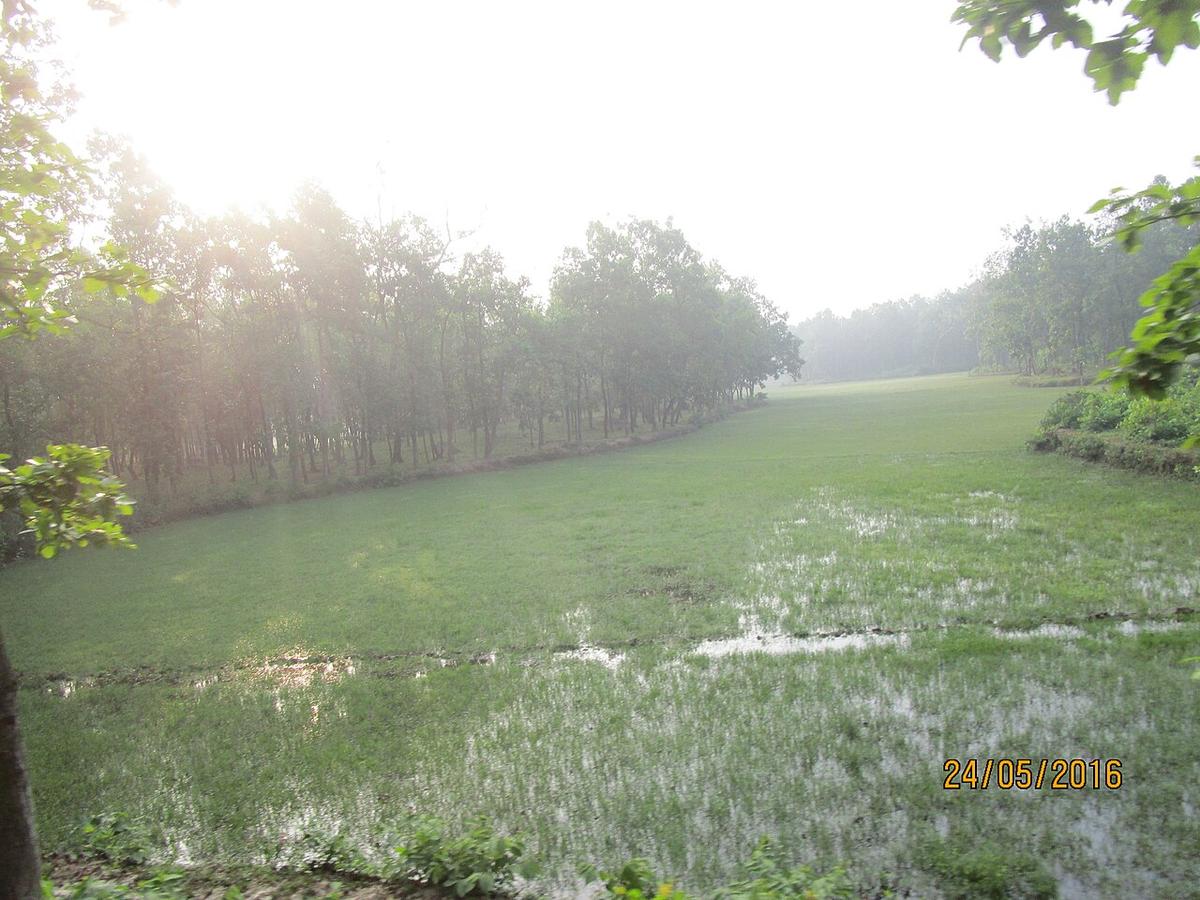 ভাওয়াল জাতীয় উদ্যান