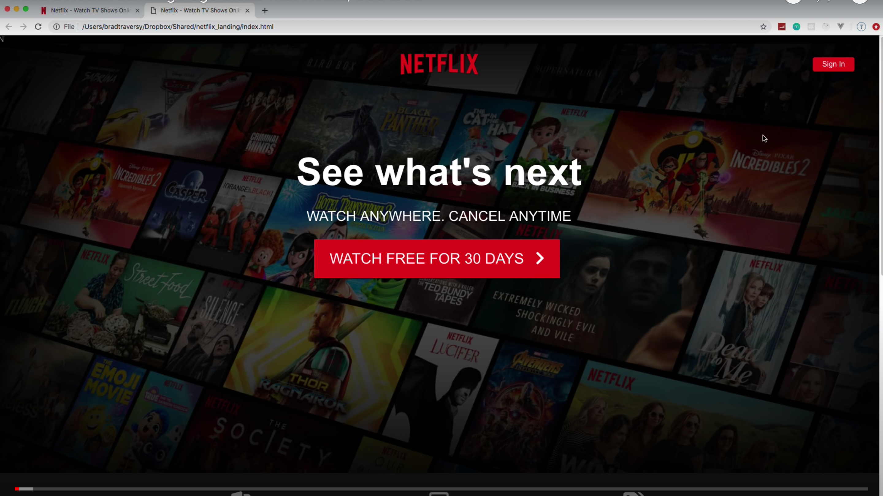 Screen capture of Netflix landing page clone