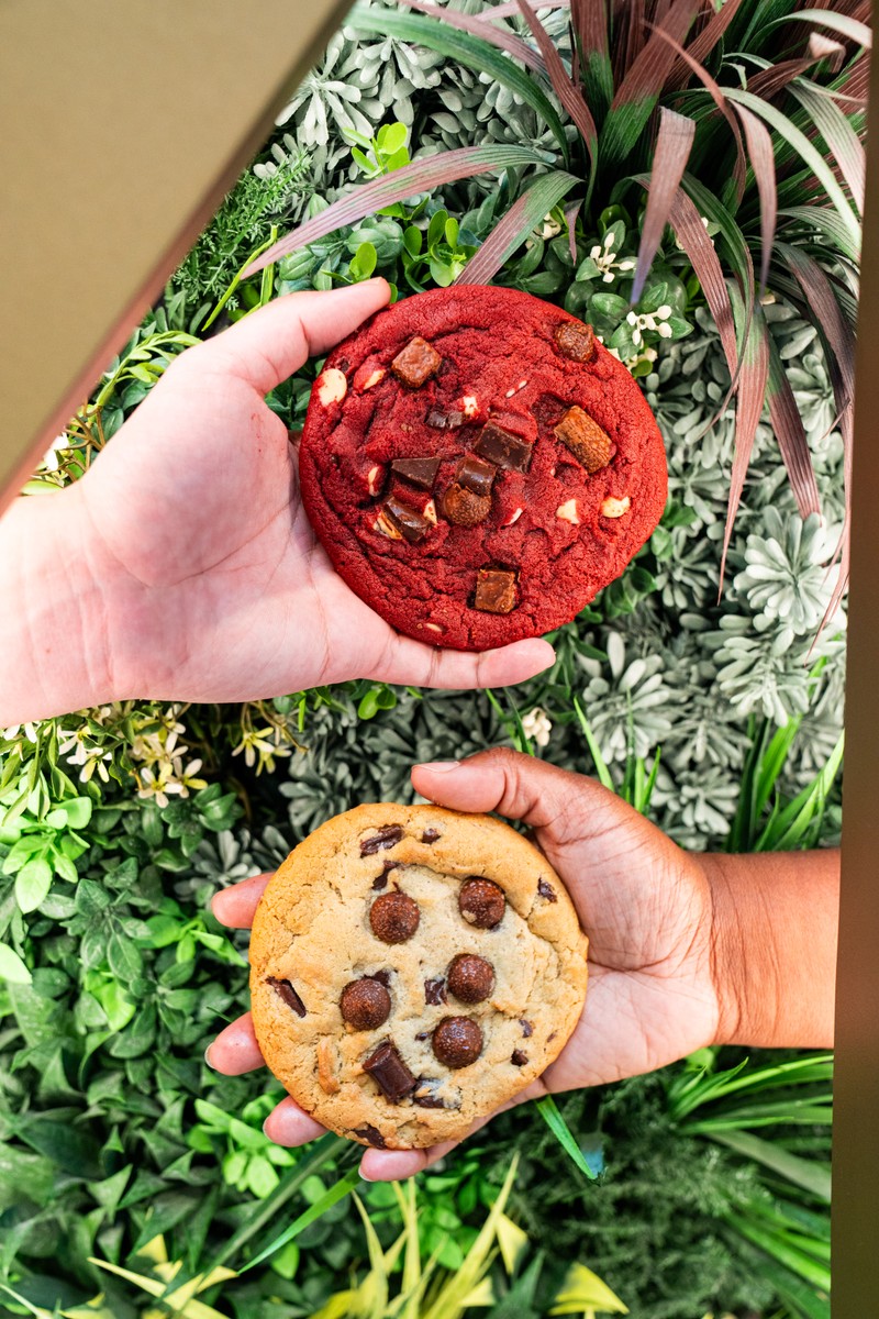 MOLTN cookie gift boxes