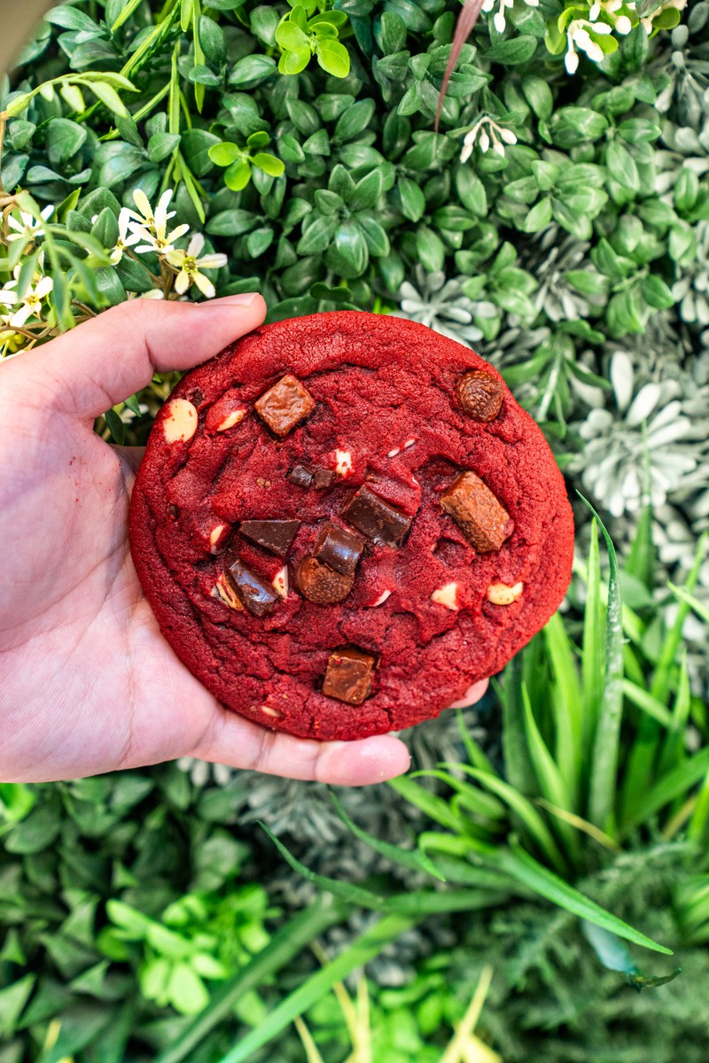 MOLTN cookie gift box