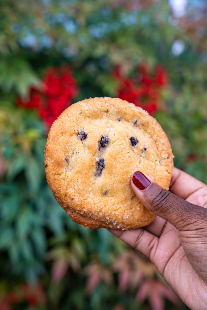 MOLTN cookie gift box