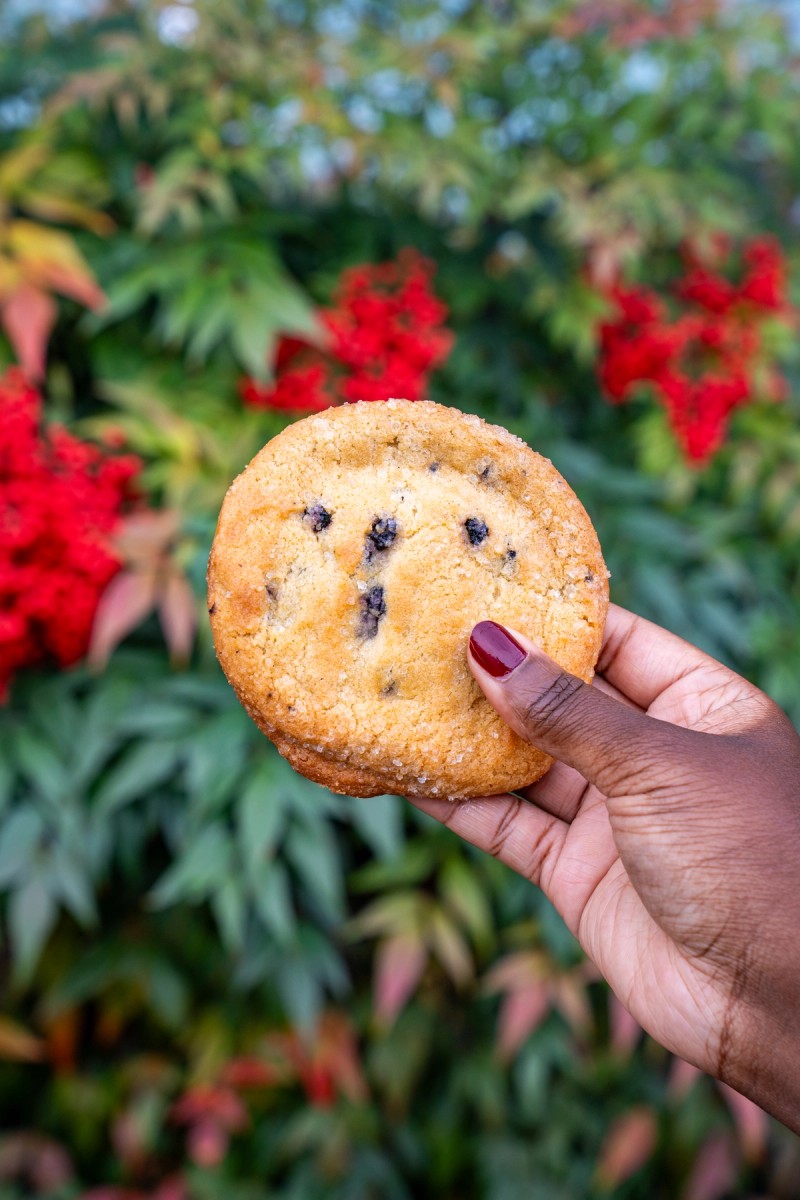 MOLTN cookie gift boxes