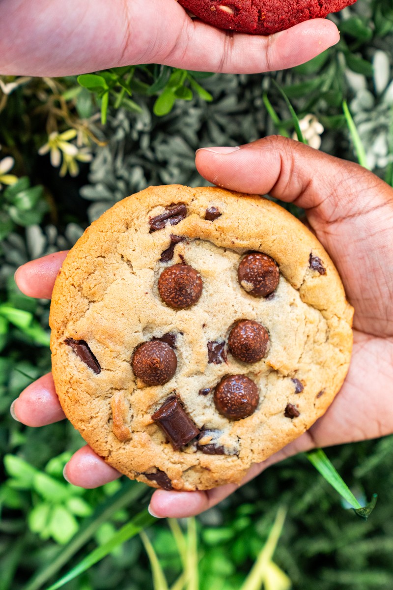 MOLTN cookie gift boxes