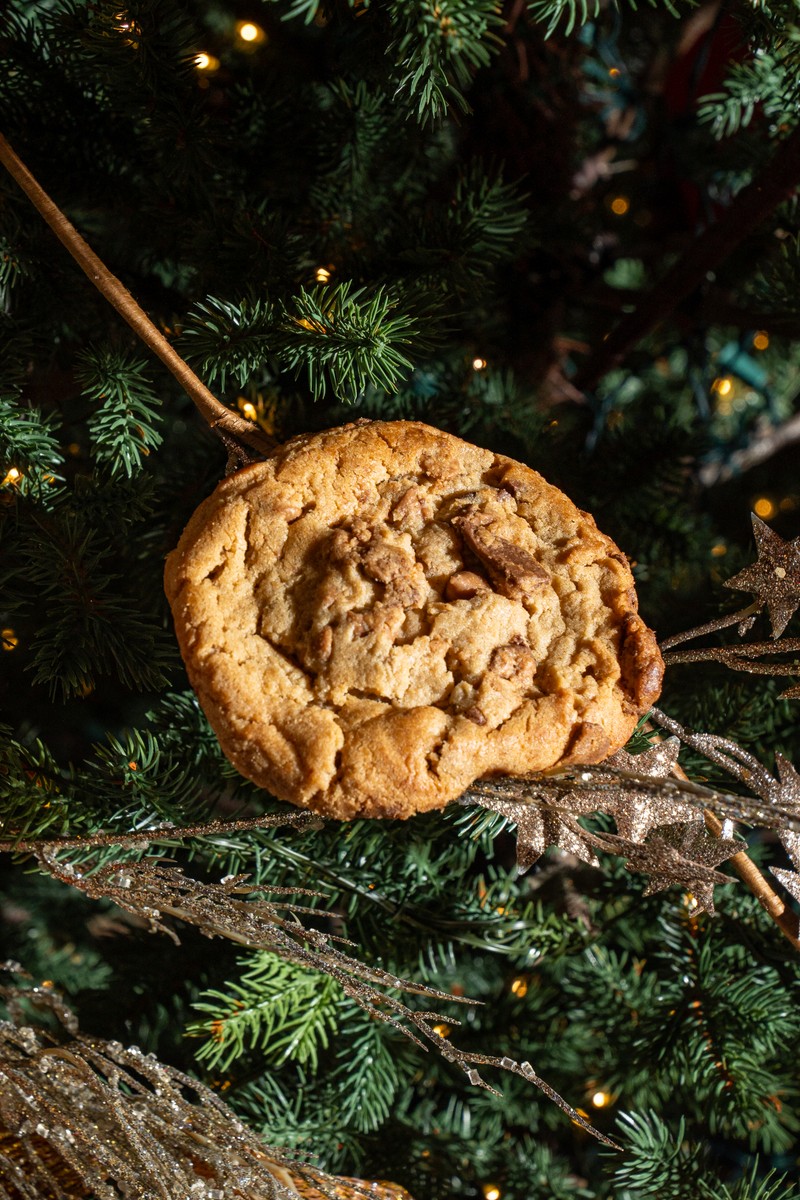 MOLTN cookie gift box