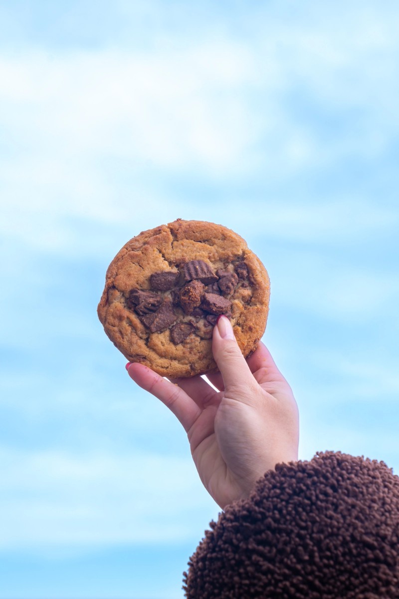 MOLTN cookie gift box