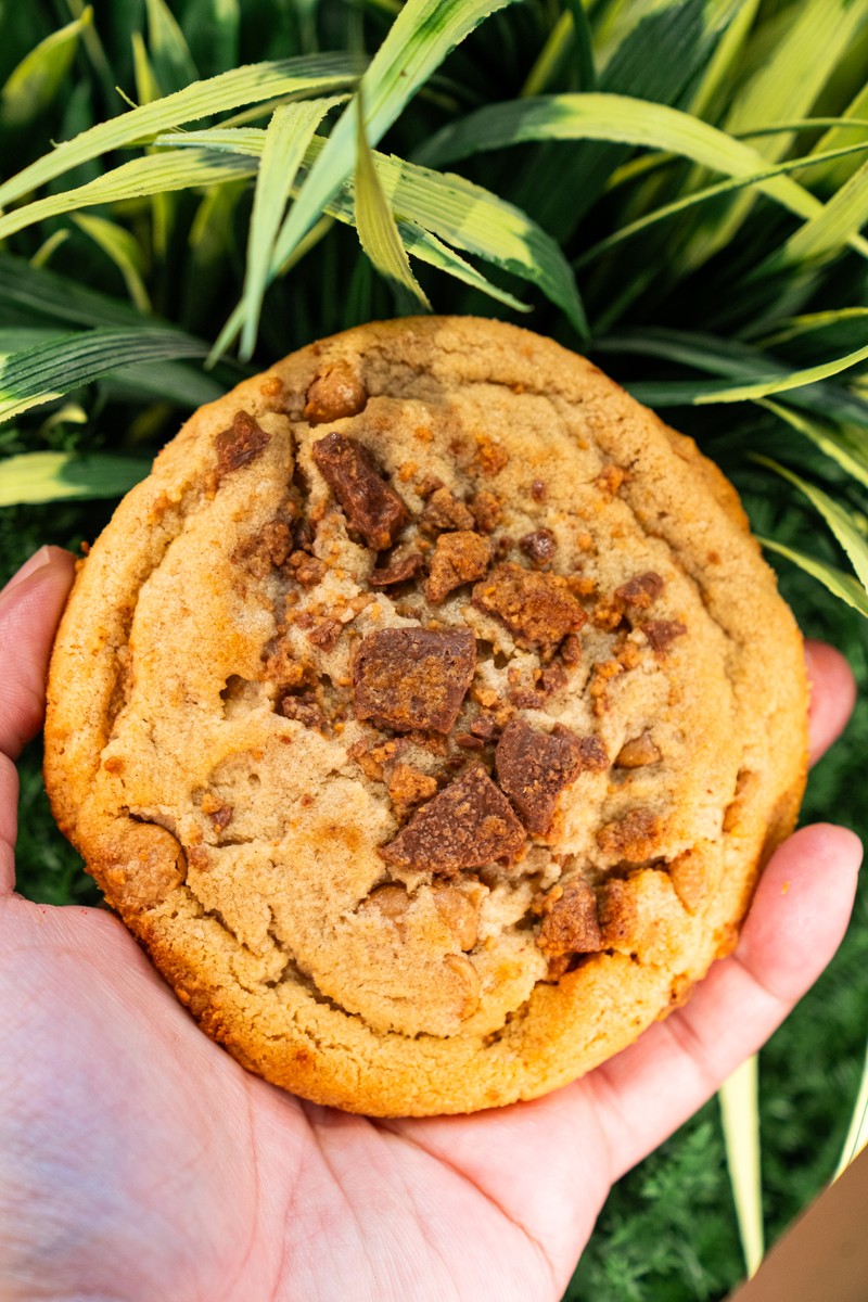 MOLTN cookie gift box