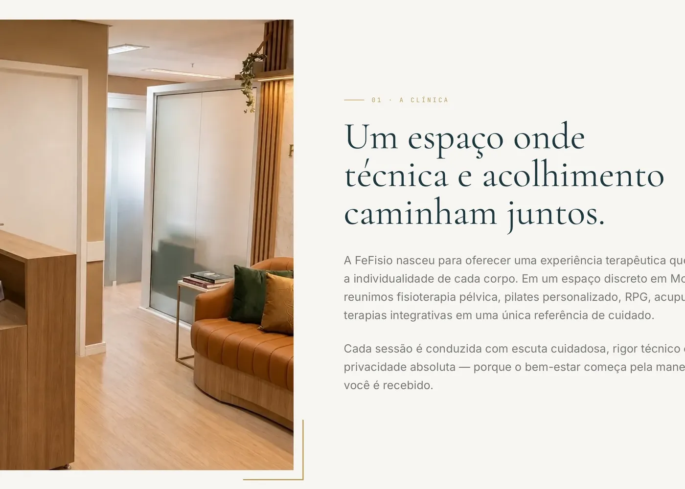 Site Clínica Fefisio