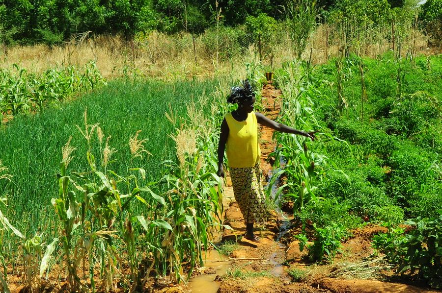 Investor unpacks West Africa’s agribusiness opportunities