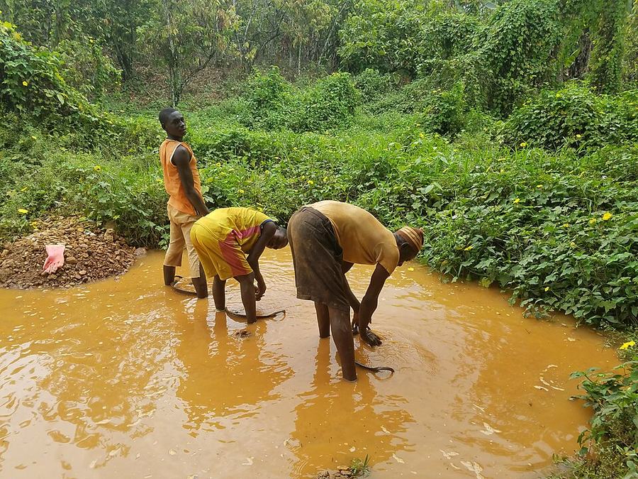 South Africa arrests over 200 in illegal mining crackdown