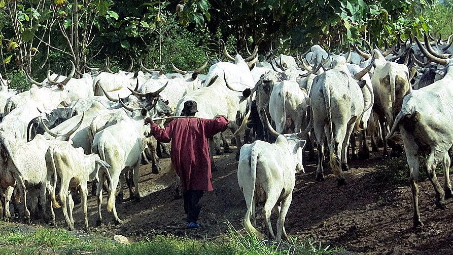 A US Report Puts 30,000 Armed Fulani Fighters in Nigeria