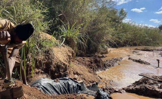 Zimbabwe: Zimbabwe's Gold Rush Adds Fuel to a Deadly Surge in Malaria