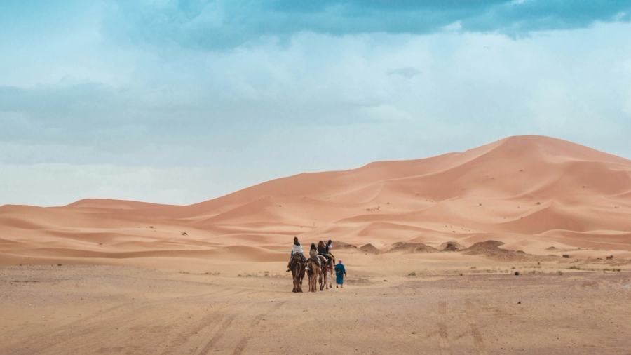 Dozens Dead of Thirst After Truck Breaks Down in Niger Desert