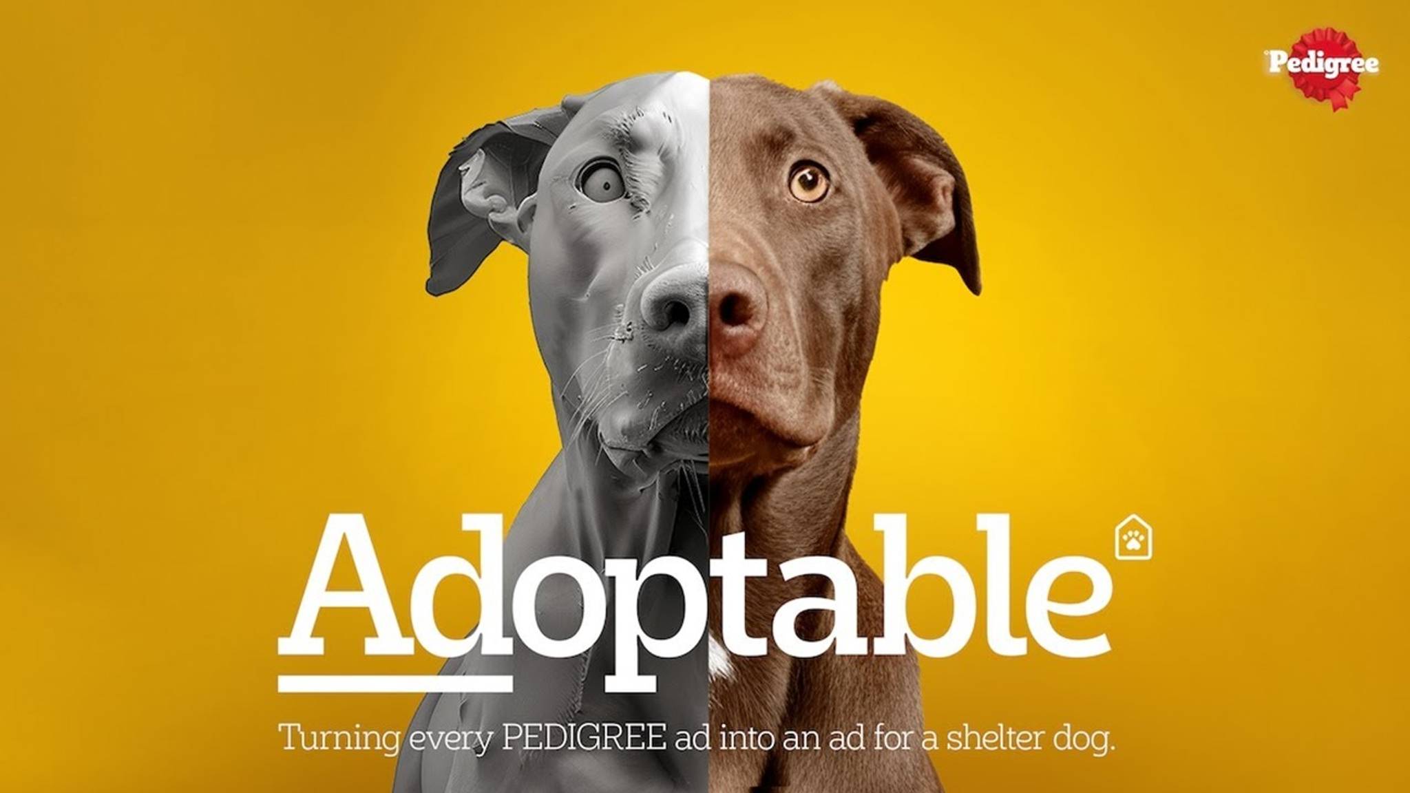 Pedigree's purpose-driven campaign wins big at Cannes Lions