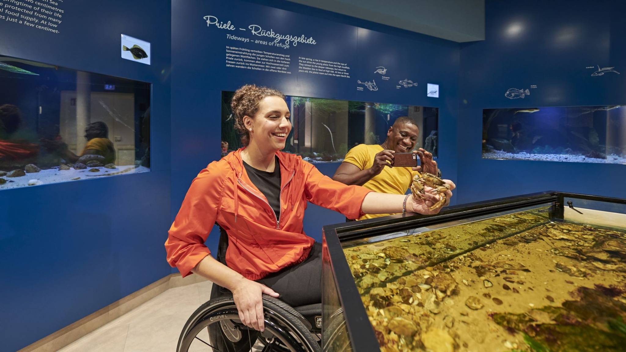 How can travel brands open up to people with disabilities?