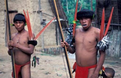 Amazonian musical