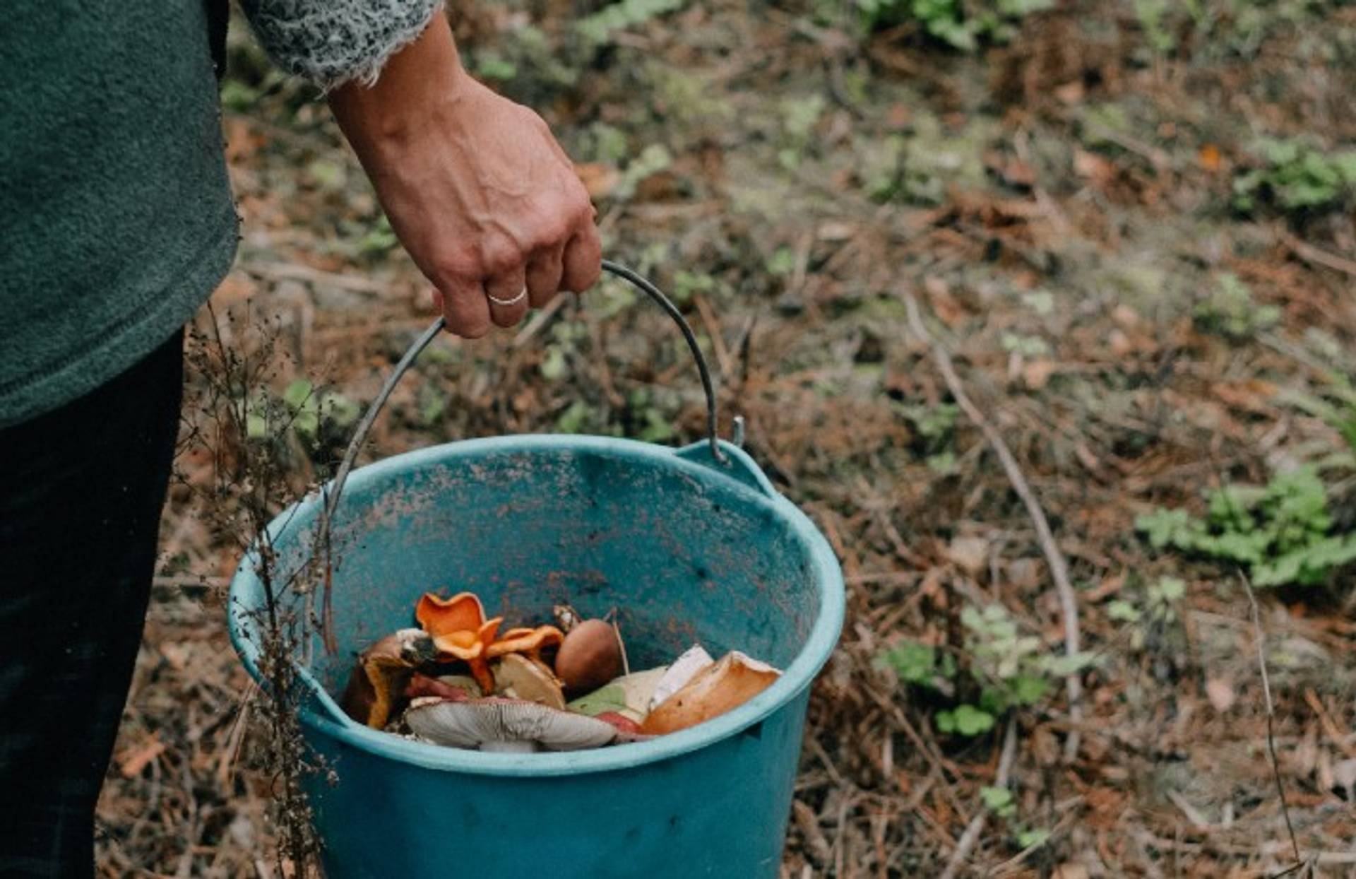 Compost companion makes waste easier to manage