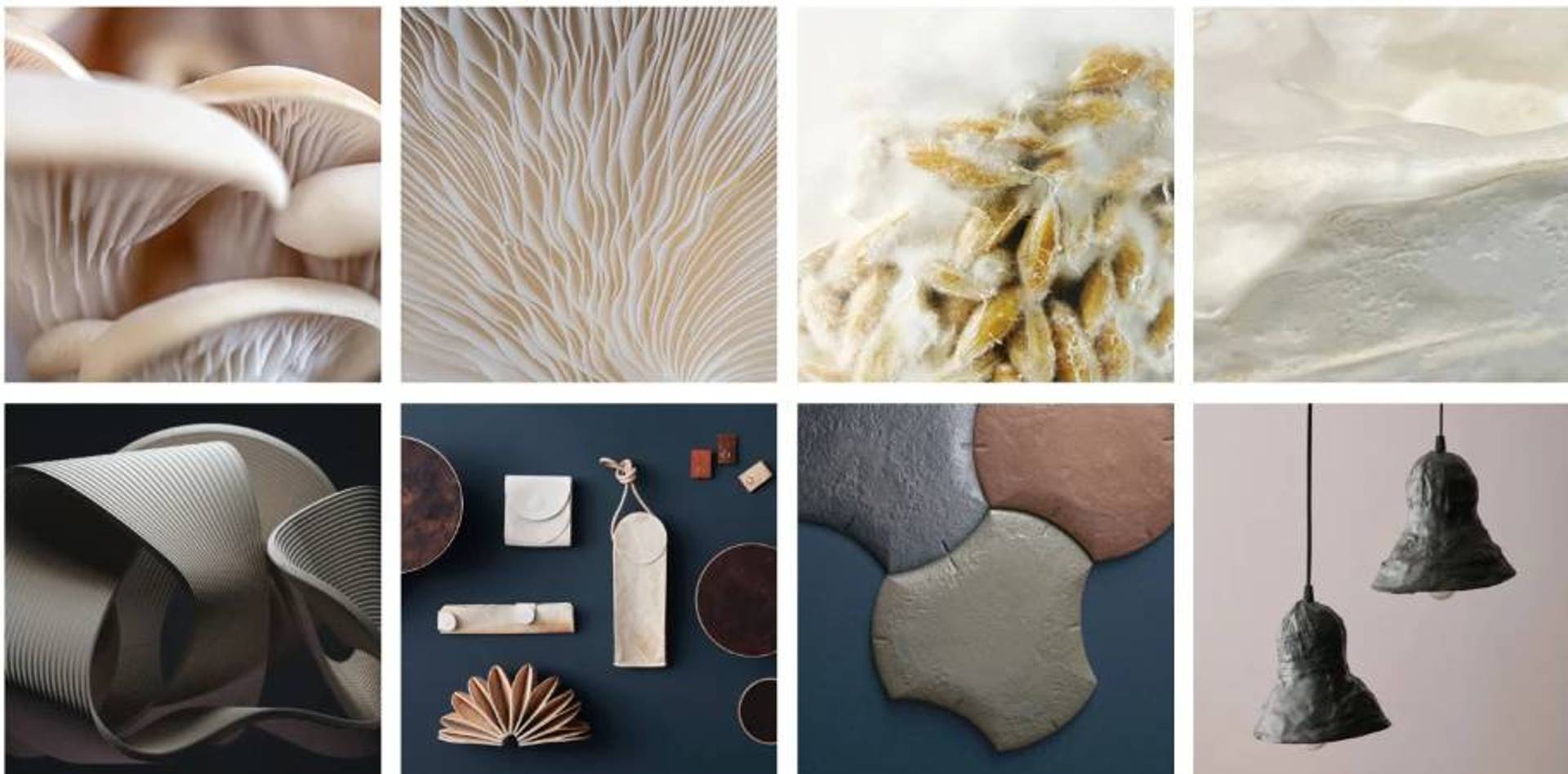 Next-gen mushroom leather appeals to eco-minded Koreans