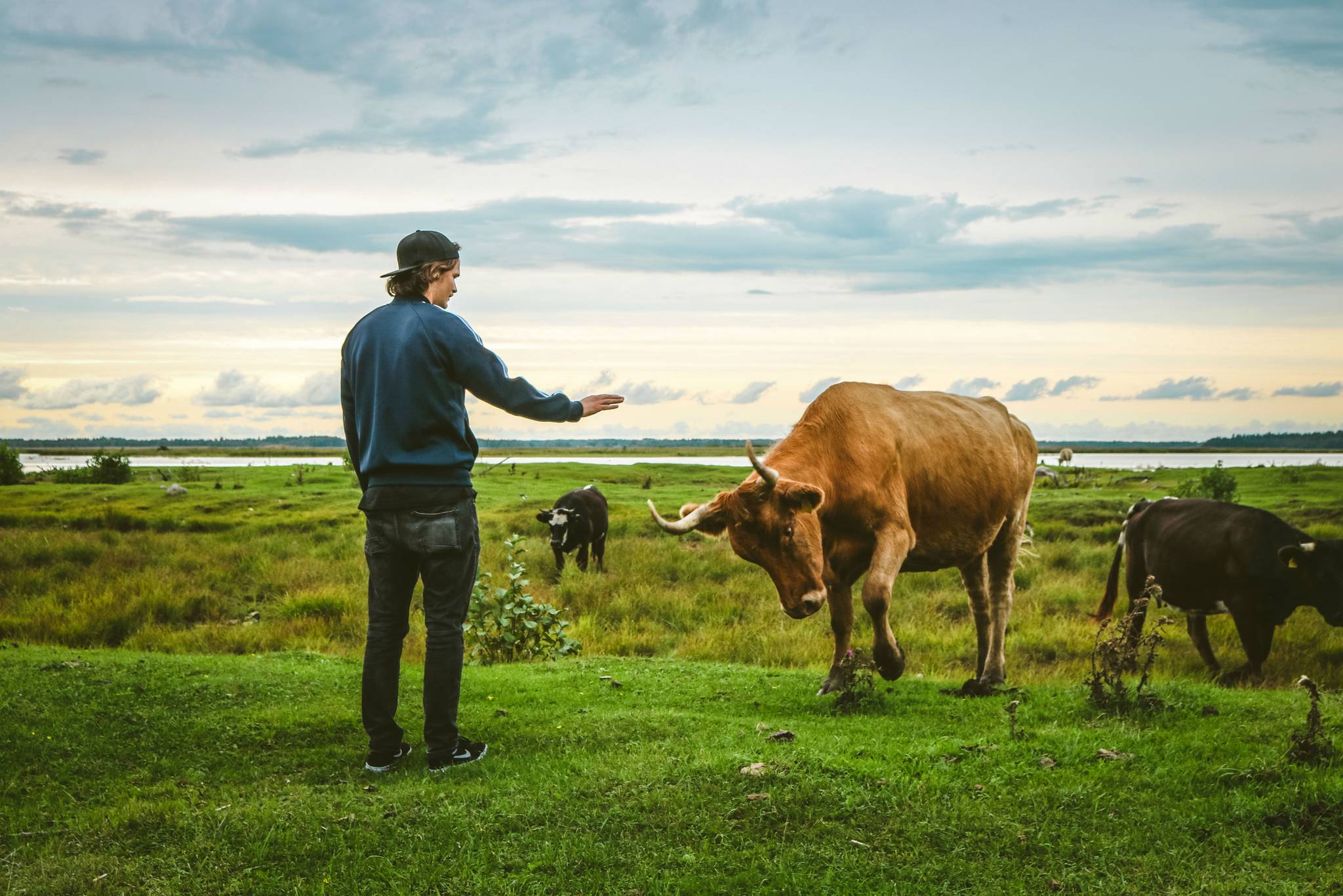 Happy Meat courts eco-conscious flexitarians