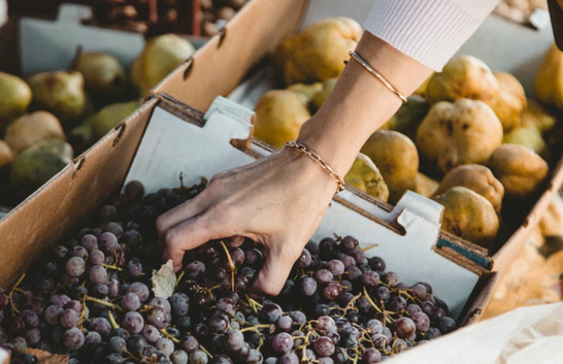 Clearer food labelling rebuilds trust with shoppers