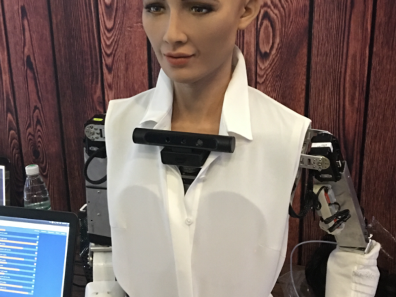 People are sceptical of Saudi Arabia’s first robot citizen Canvas8