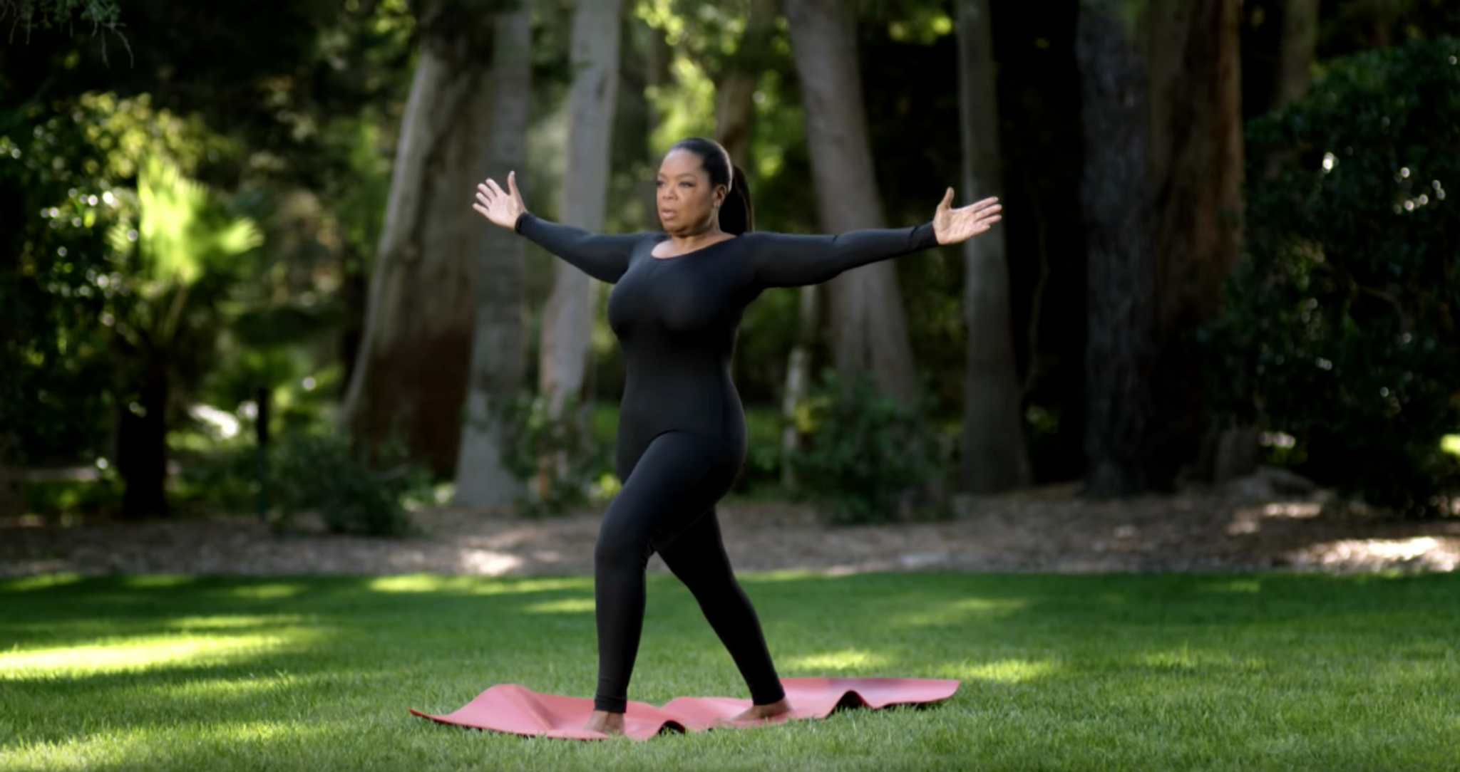 Oprah has got Weight Watchers shares soaring