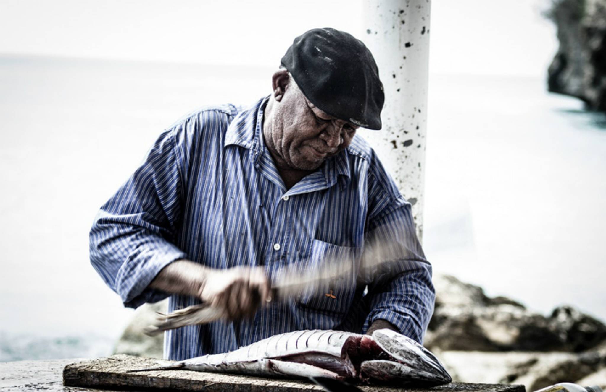 Fish Butchery helps Aussies reduce food waste
