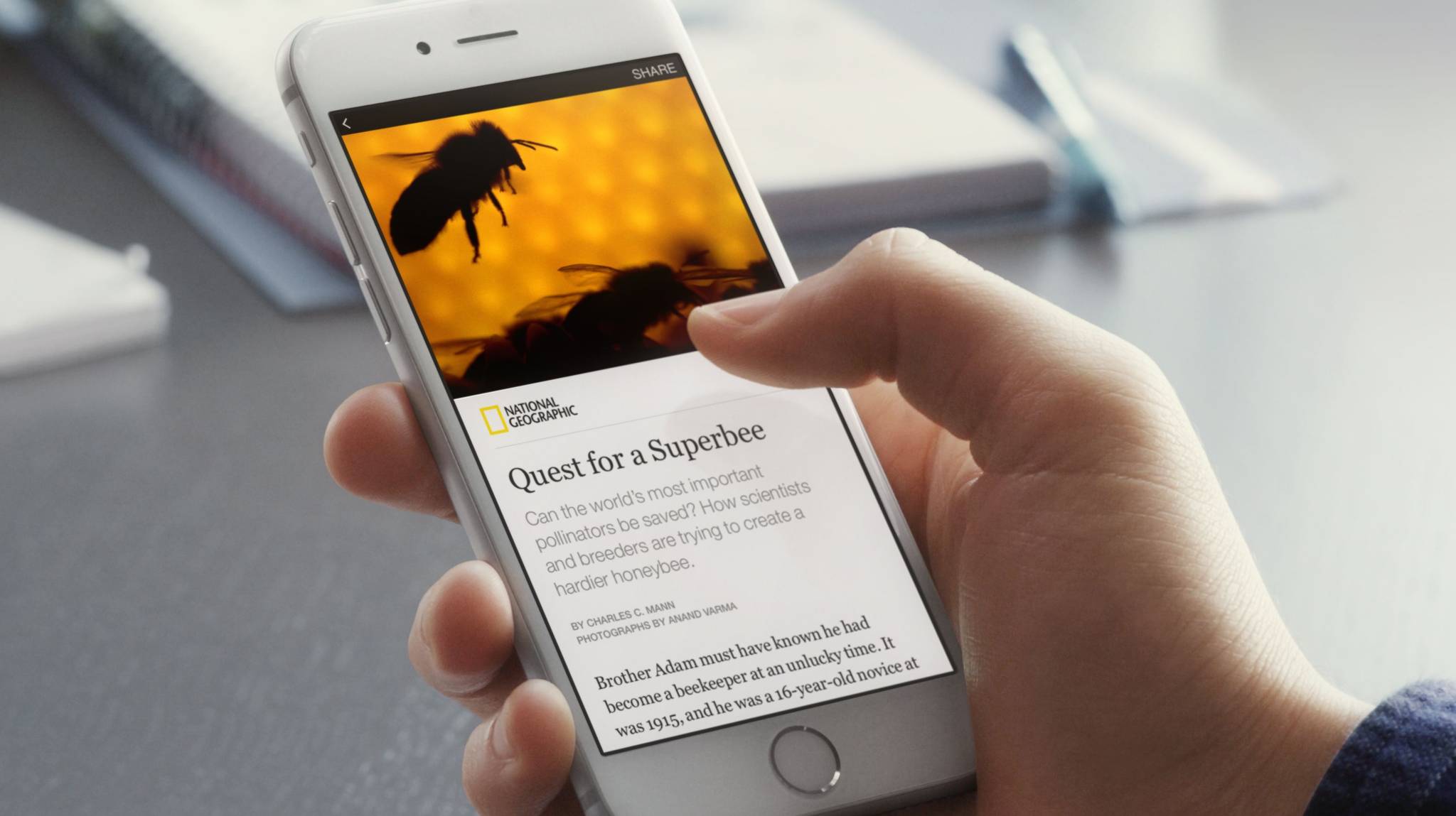 Facebook set to host ‘instant articles’