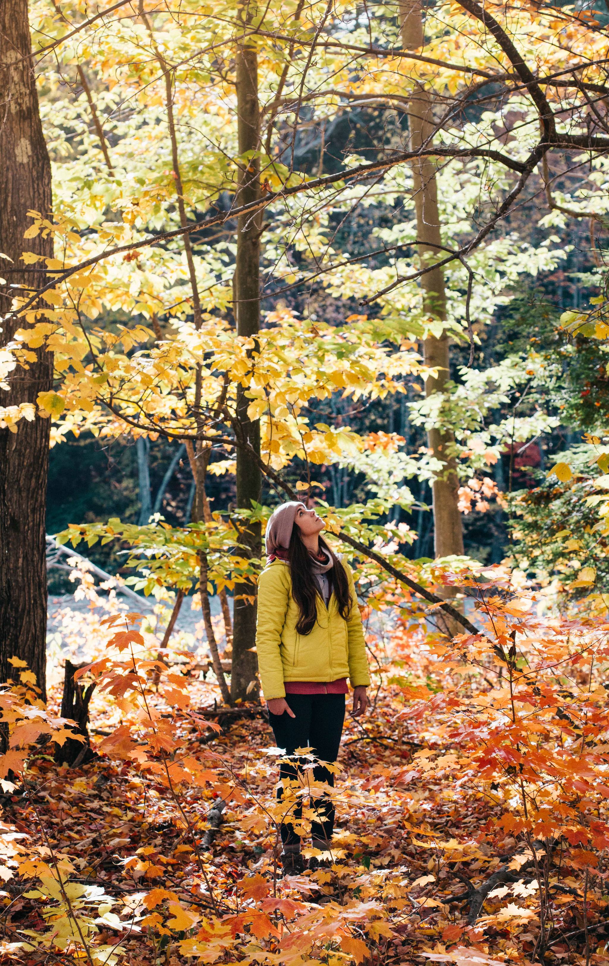 Leaf peeping: autumn appreciators get outdoors