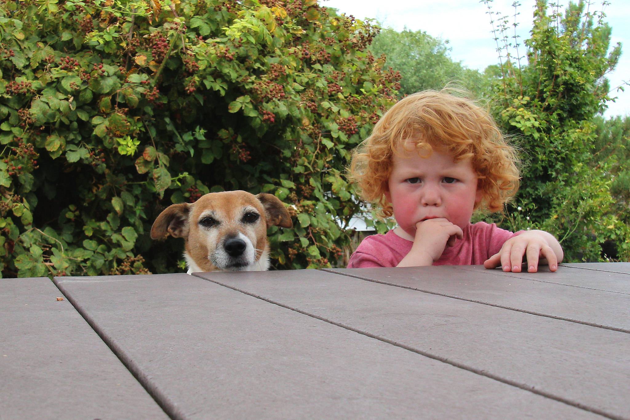 Kids get on better with their pets than their siblings