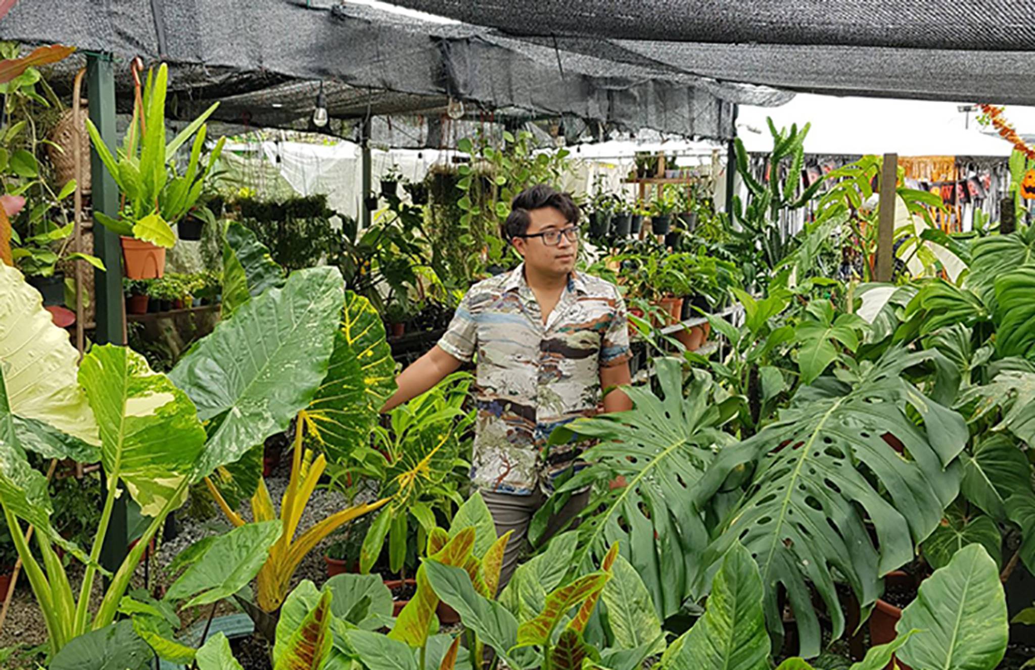 Restless Singaporeans find release in rare plants