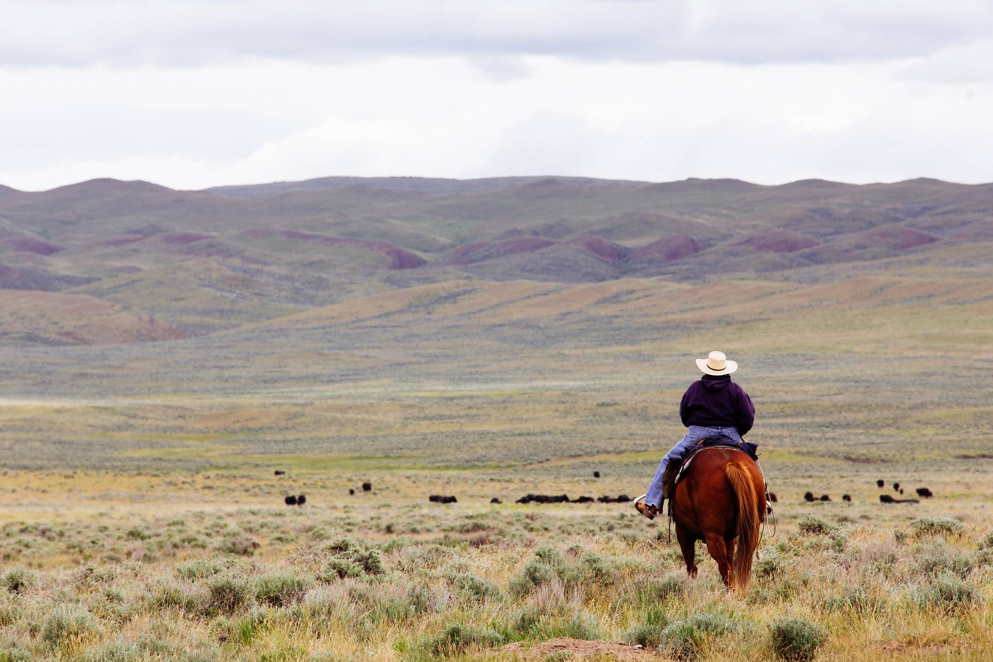 Ultra-wealthy Americans flock to the heartland