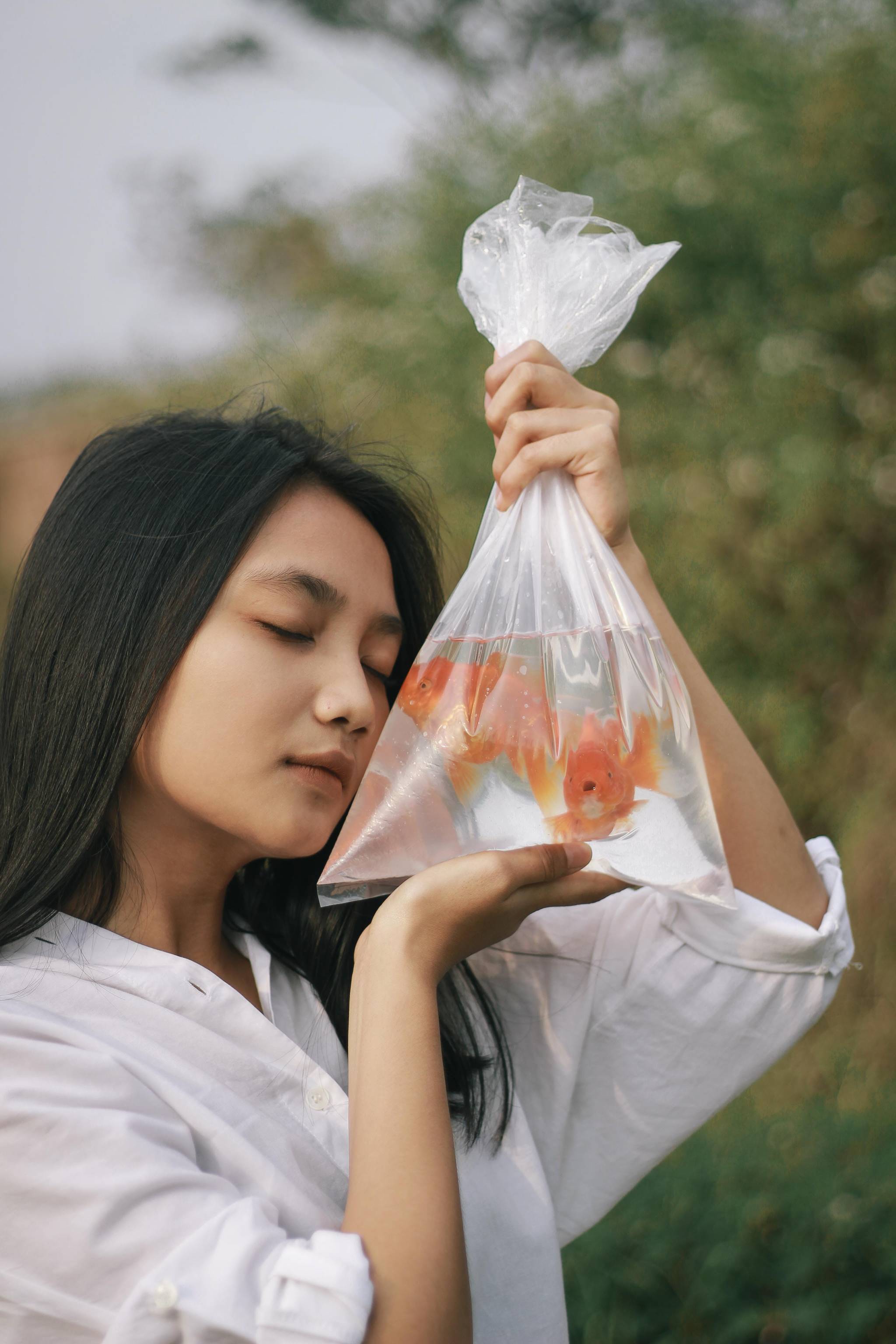 Chinese youths opt for fish as easy pet alternatives