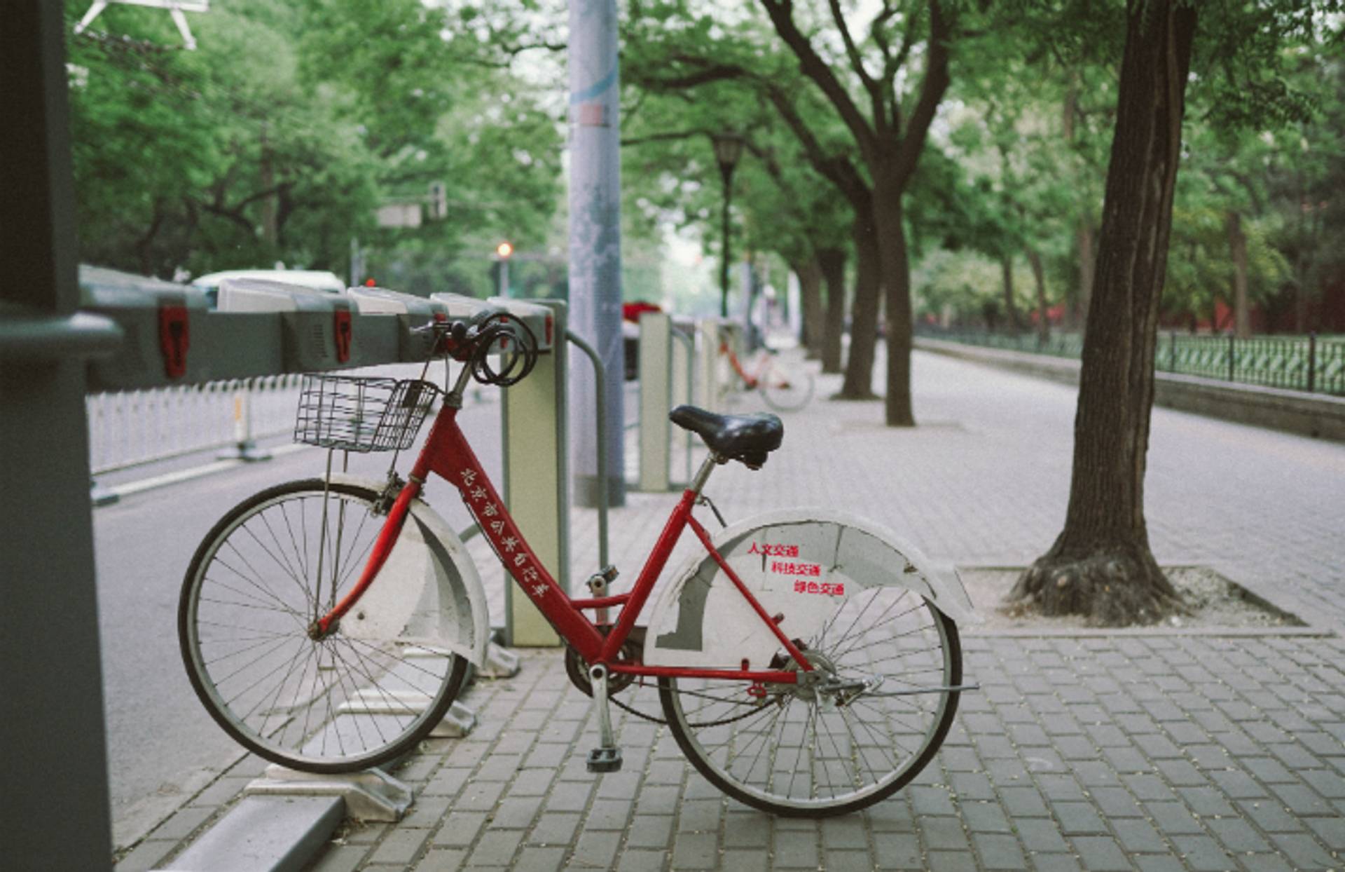 China's bike graveyards puts locals off bike sharing